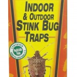 Stink bug trap