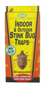 Stink bug trap