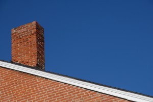 stink bugs enter through the chimney