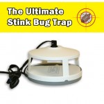 Victor's Ultimate Indoor Stink Bug Trap